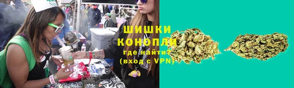 Альфа ПВП Верея