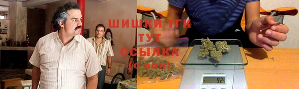 Альфа ПВП Верея