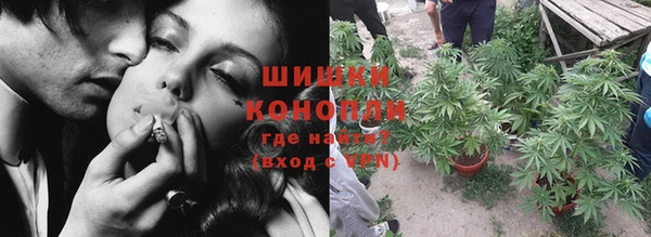 Альфа ПВП Верея