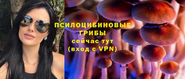 Альфа ПВП Верея